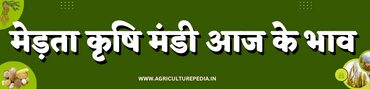 AAJ KE MERTA KRISHI MANDI BHAV merta mandi bhav today आजके मेड़ता मंडी भाव कृषि उपज मंडी मेड़तासिटी 