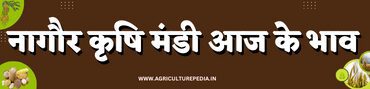 Nagaur mandi ke bhav 2023 आजके नागौर मंडी भाव AAJ KE NAGAUR KRISHI MANDI BHAV today 2023 कृषि उपज मंडी नागौर के सबसे लेटेस्ट भाव यहाँ अपडेट हैं |
