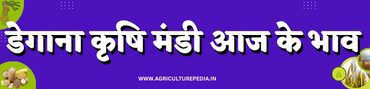 DEGANA mandi ke LATEST bhav 2023 आजके डेगाना मंडी भाव DEGANA KRISHI MANDI KE BHAV AAJ KE DEGANA KRISHI MANDI BHAV 2023 डेगाना मंडी सबसे लेटेस्ट भाव कृषि उपज मंडी 2023 डेगाना Rajasthan Mandi Bhav 2023 नवीनतम भाव उपलब्ध : DEGANA Mandi Bhav नमस्कार किसान भाइयो AGRICULTUREPEDIA.IN पर आपका स्वागत है|