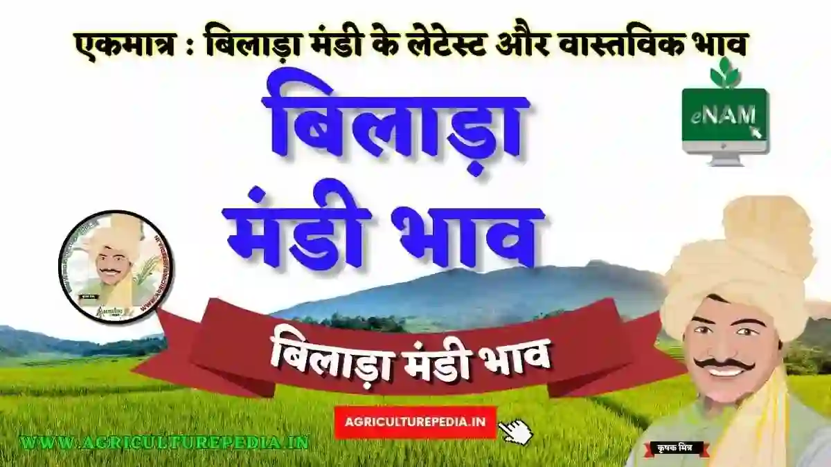 Bilara mandi ke latest bhav 2023 आजके बिलाड़ा मंडी भाव AAJ KE BILARA KRISHI MANDI BHAV 2023 कृषि उपज मंडी बिलाड़ा AGRICULTUREPEDIA Rajasthan Mandi Bhav : BILARA Mandi Bhav