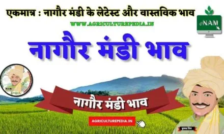 आज के नागौर मंडी के भाव 09 जून 2023 #2