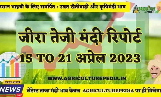 जीरा तेजी मंदी रिपोर्ट 15 TO 21 अप्रेल 2023